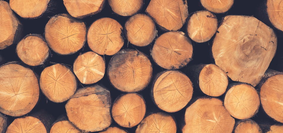 An Introduction to Mass Timber
